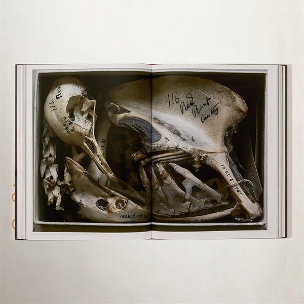 Annie Leibovitz Portraits Book