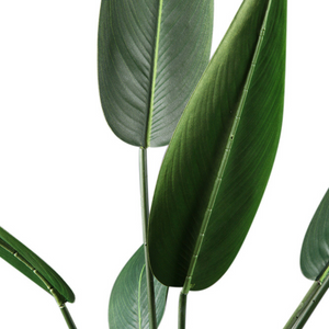 Bird of Paradise Artificial Plant