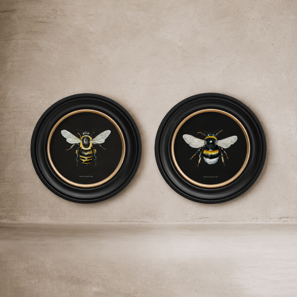 British Bee Dark Framed Wall Art - Set of 2