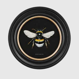 British Bee Dark Framed Wall Art - Set of 2