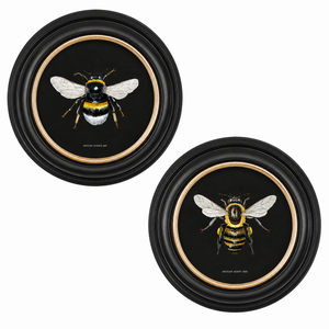 British Bee Dark Framed Wall Art - Set of 2 x 44cm