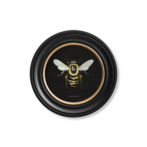 British Bee Dark Framed Wall Art - Set of 2 x 70cm