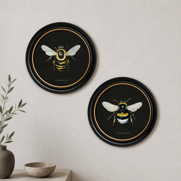 British Bee Dark Framed Wall Art - Set of 2 x 70cm