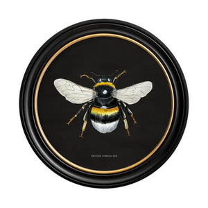 British Bee Dark Framed Wall Art - Set of 2