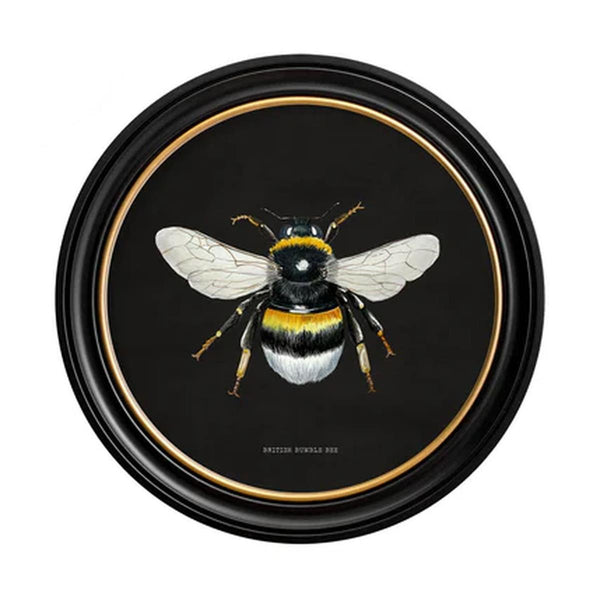 British Bee Dark Framed Wall Art - Set of 2