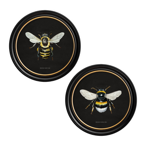 British Bee Dark Framed Wall Art - Set of 2 x 70cm