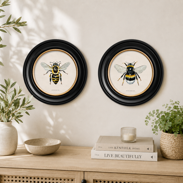 British Bee Framed Wall Art - Set of 2 x 44cm