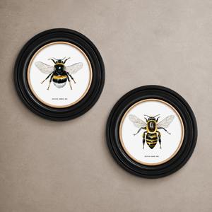 British Bee Framed Wall Art - Set of 2 x 44cm