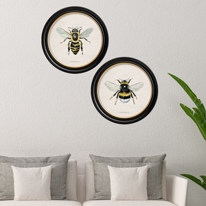 British Bee Framed Wall Art - Set of 2 x 70cm