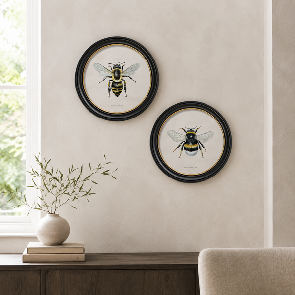 British Bee Framed Wall Art - Set of 2 x 70cm