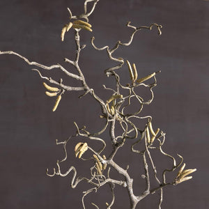 Contorted Willow Branch with Catkins