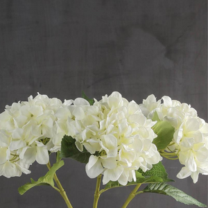 Cream Hydrangea Stems - Pack of 3