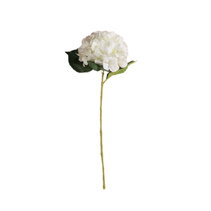 Cream Hydrangea Stems - Pack of 3