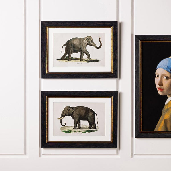 Elephants Framed Wall Art - Set of 2 x 50cm