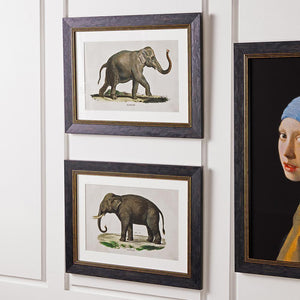 Elephants Framed Wall Art - Set of 2 x 70cm