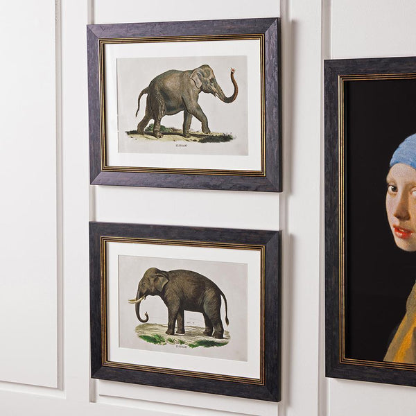 Elephants Framed Wall Art - Set of 2 x 70cm
