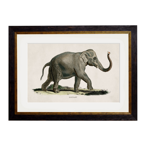 Elephants Framed Wall Art - Set of 2 x 70cm