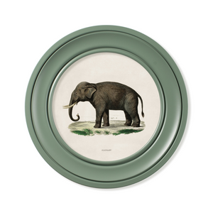 Elephants Framed Wall Art - Green - Set of 2 x 44cm
