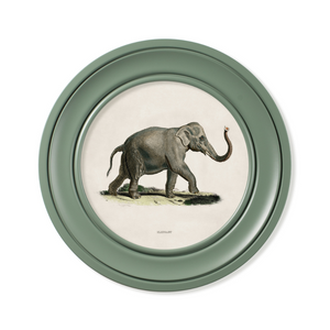 Elephants Framed Wall Art - Green - Set of 2 x 44cm