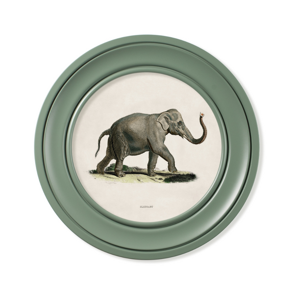 Elephants Framed Wall Art - Green - Set of 2 x 44cm