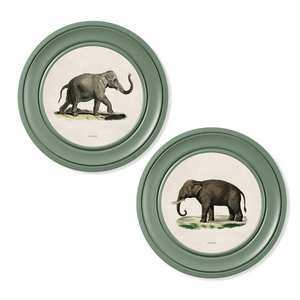 Elephants Framed Wall Art - Green - Set of 2 x 44cm