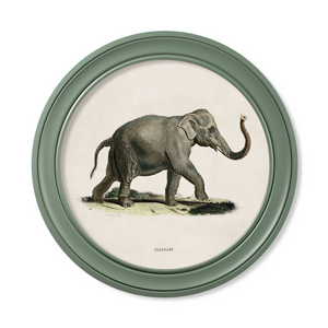 Elephants Framed Wall Art - Green - Set of 2 x 70cm