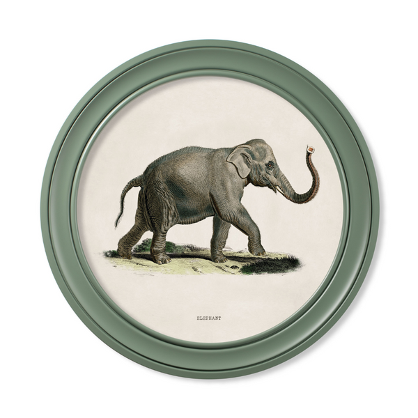 Elephants Framed Wall Art - Green - Set of 2 x 70cm