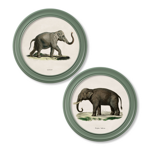 Elephants Framed Wall Art - Green - Set of 2 x 70cm