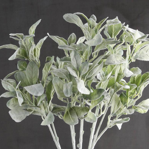 Frosted Lambs Ear Stems - Pack of 5