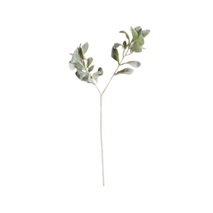 Frosted Lambs Ear Stems - Pack of 5