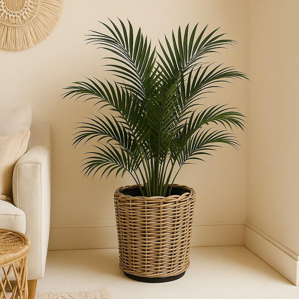 Genoa Planter - 46 x 49cm