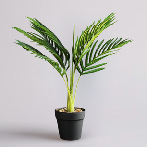 Hawaiian Palm Artificial Plant