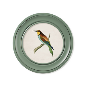 Kingfisher and Bee Eater Framed Wall Art x 44cm