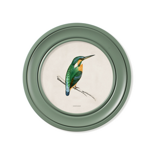 Kingfisher and Bee Eater Framed Wall Art x 44cm