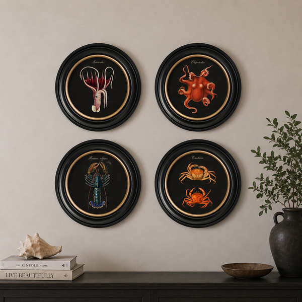 Marine Animals Framed Wall Art - Set of 4 x 44cm