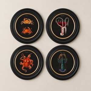 Marine Animals Framed Wall Art - Set of 4 x 44cm