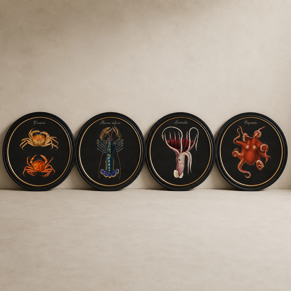 Marine Animals Framed Wall Art - Set of 4 x 70cm