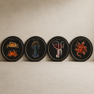 Marine Animals Framed Wall Art - Set of 4 x 70cm