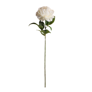 Off White Peony Stems - Pack of 5