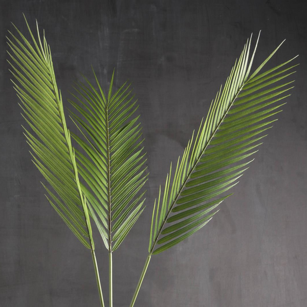 Palm Leaf Stems - Pack of 3