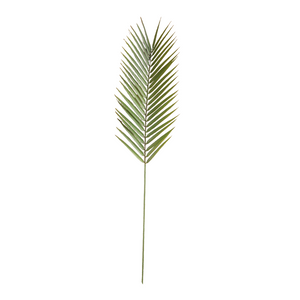 Palm Leaf Stems - Pack of 3