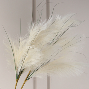 Cream Pampas Grass Stem