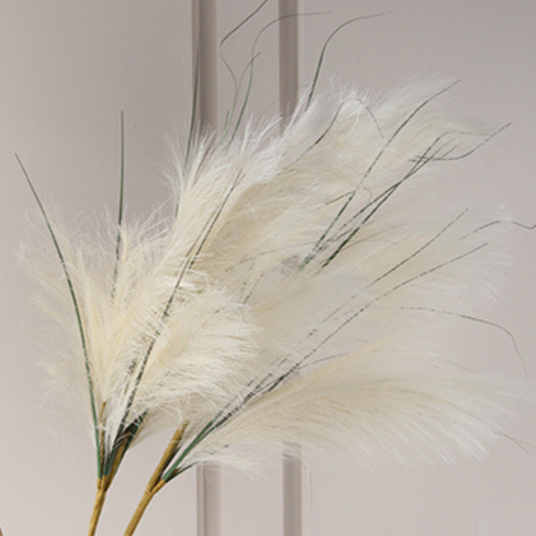 Cream Pampas Grass Stem