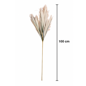 Cream Pampas Grass Stem