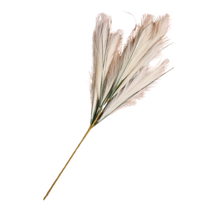 Cream Pampas Grass Stem