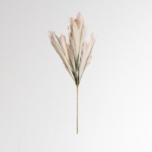 Cream Pampas Grass Stem