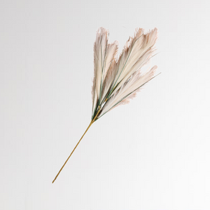 Cream Pampas Grass Stem