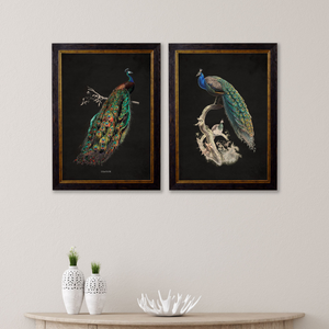 Peacocks Framed Wall Art - Set of 2 x 50cm
