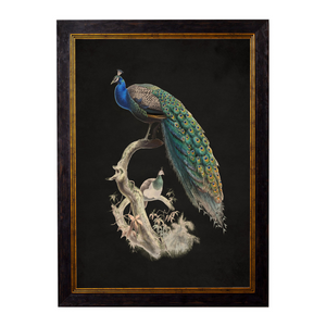Peacocks Framed Wall Art - Set of 2 x 50cm