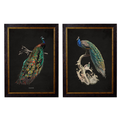 #70 x 95cm